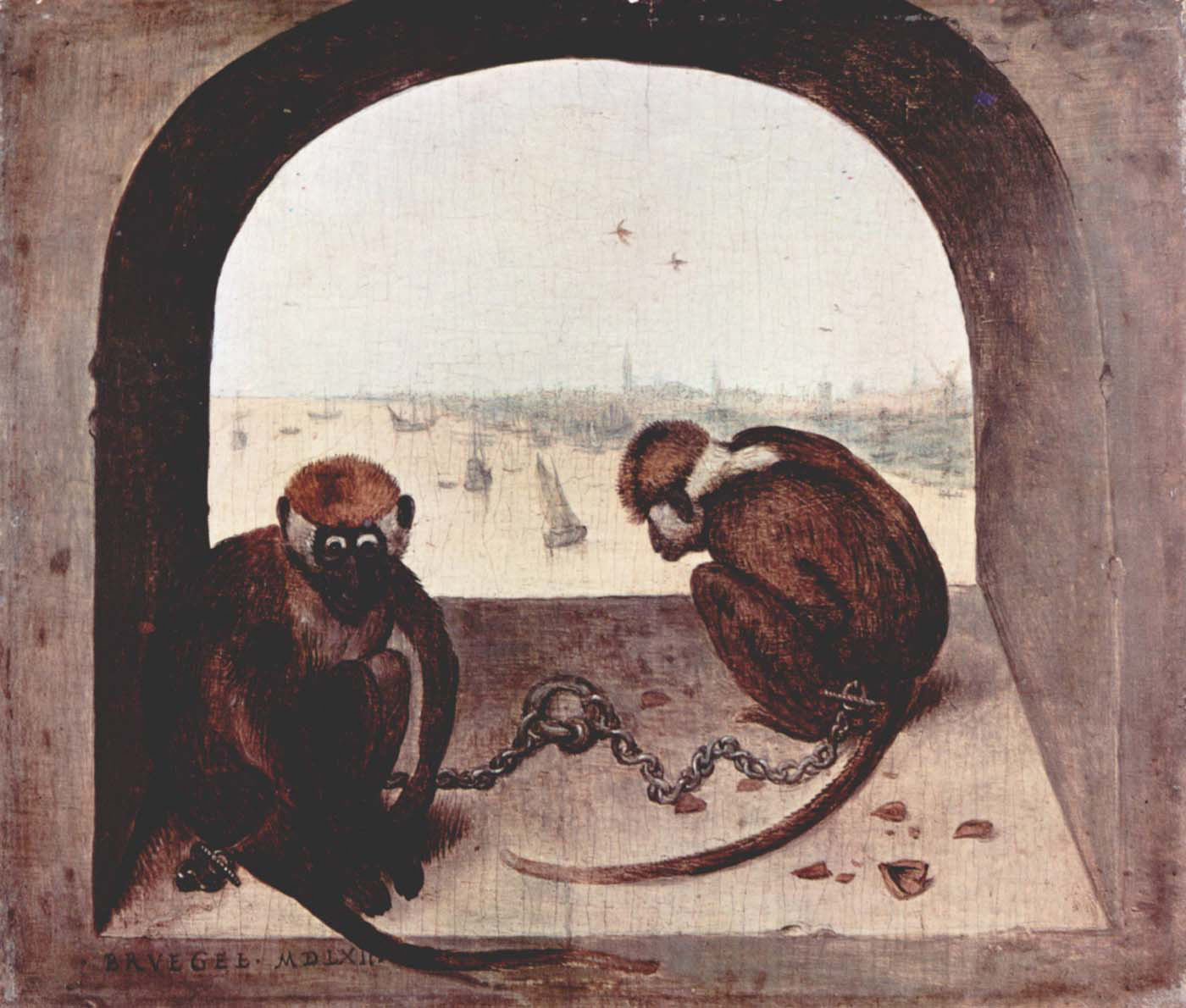 two monkies